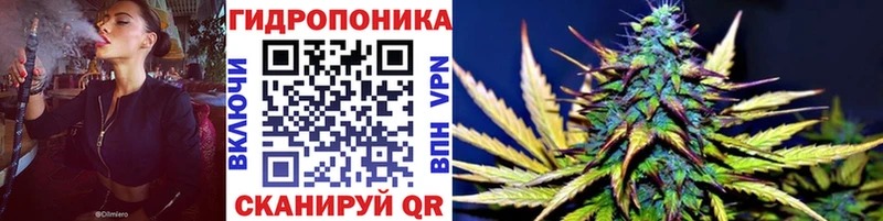 Бошки марихуана Bruce Banner  Мамадыш 